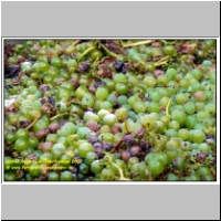 16647 Bullenheim Oberfranken 2010.JPG